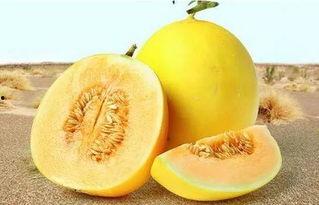 吃瓜网166.su在线,带你领略网络娱乐新天地