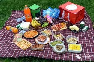 野餐兔网红吃瓜图片高清,高清美图曝光！